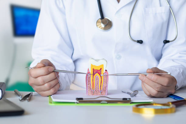 Professional Emergency Dentist in MA
